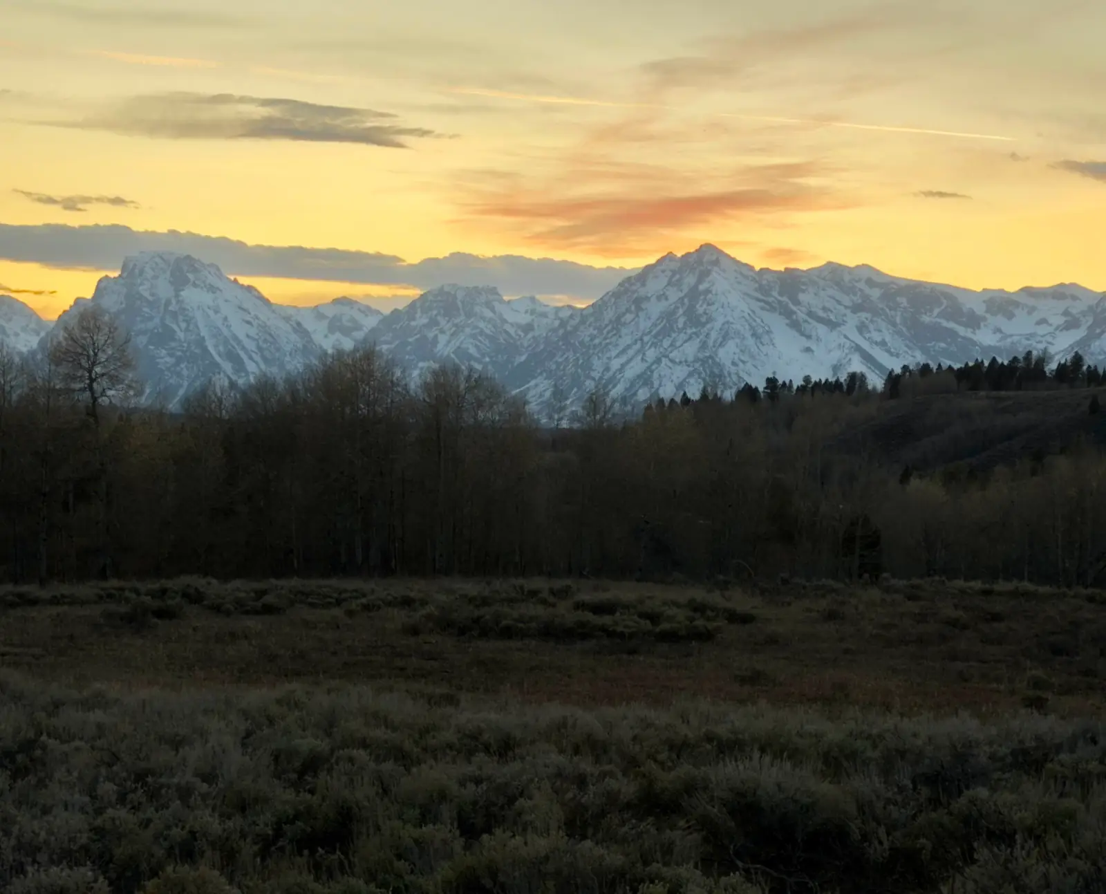 Snowy peaks under a golden, pink-streaked sky above a dark forest and meadow.