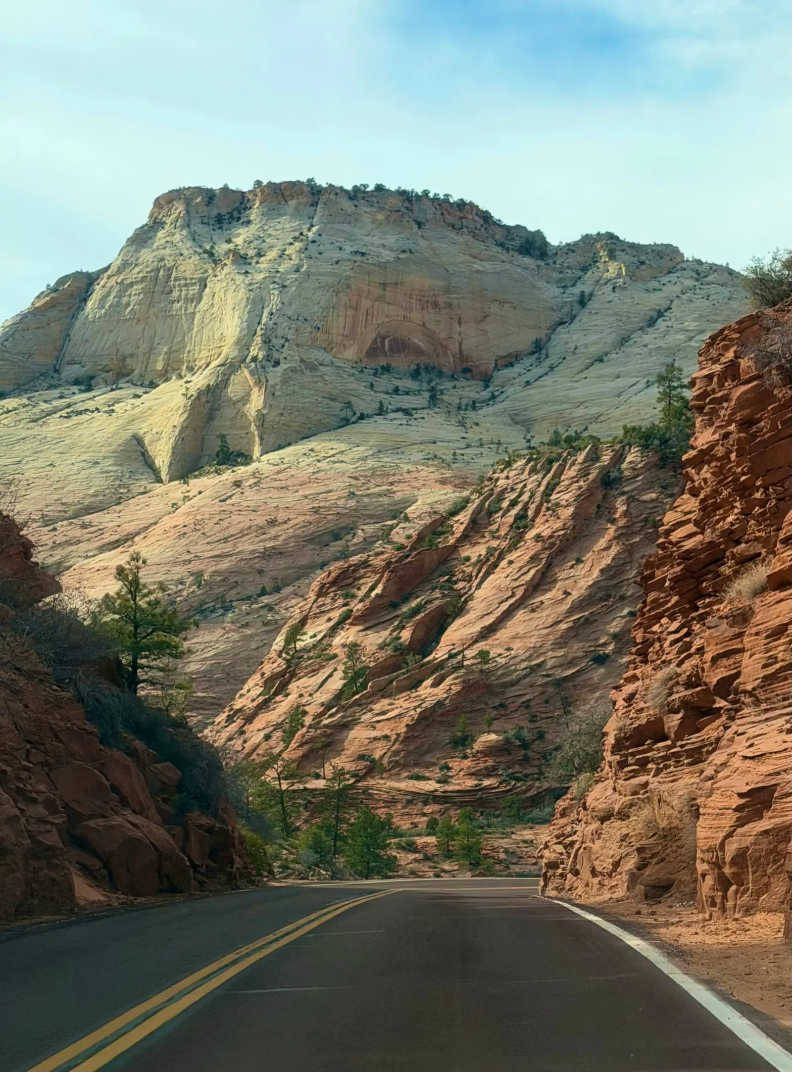 A road curving between red rock cliffs toward pale sandstone peaks in Zion.
